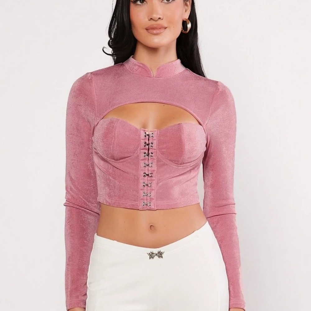 Elegant Pink Velvet Women's Top